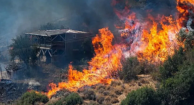 Türkiye’nin ciğeri yanıyor! İzmir yangınında son durum 