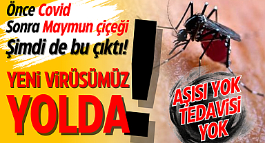 Uzmanlar uyardı! Oropouche virüsüne dikkat! Nasıl bulaşır belirtileri nelerdir?