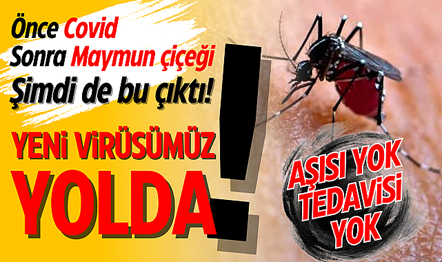 Uzmanlar uyardı! Oropouche virüsüne dikkat! Nasıl bulaşır belirtileri nelerdir?