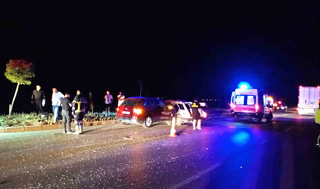 Yaşlı çift kazada hayatını kaybetti