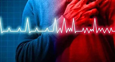 Yaz sıcaklarında kalp krizine dikkat!