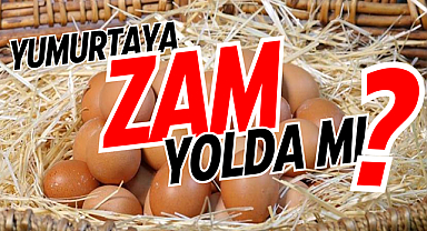 Yumurtaya zam yolda mı?