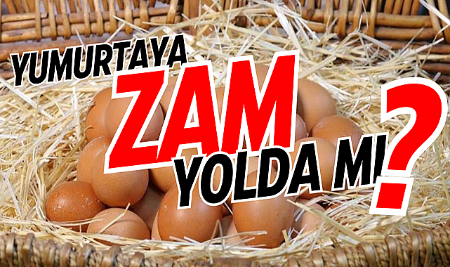 Yumurtaya zam yolda mı?