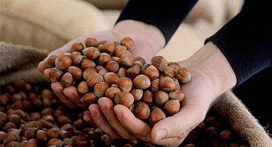 15 Eylül fındık fiyatları ne kadar?