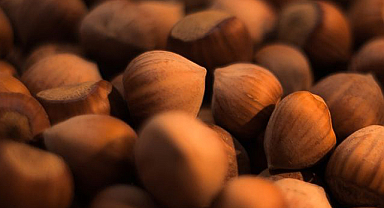 21 Eylül fındık fiyatları ne kadar?