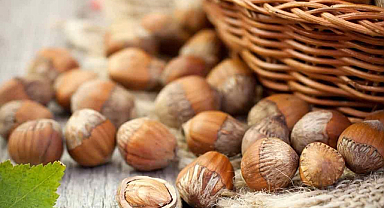 22 Eylül fındık fiyatları ne kadar?