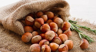 23 Eylül fındık fiyatları ne kadar?