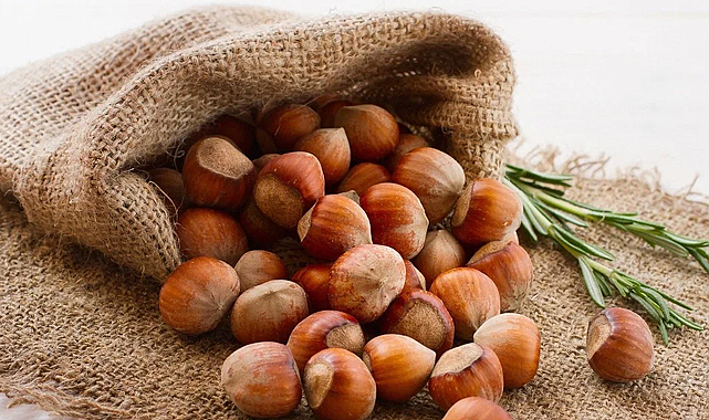 23 Eylül fındık fiyatları ne kadar?