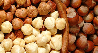 27 Eylül fındık fiyatları ne kadar?