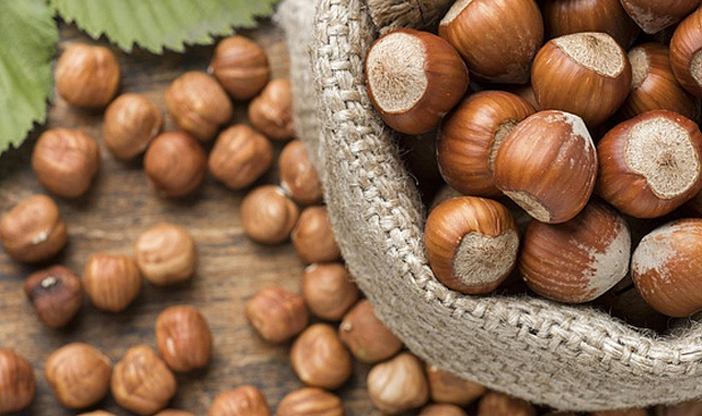 30 Eylül fındık fiyatları ne kadar?