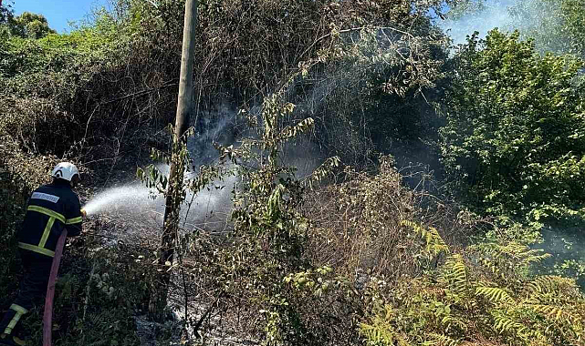 Anız yangını ekipleri harekete geçirdi