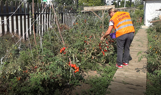 Atakumlu çiftçiye üretim desteği