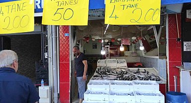 Av yasağı bitti, tezgahlar palamutla doldu