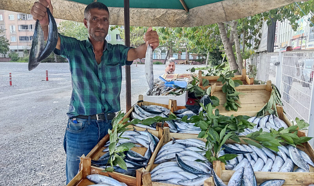 Bafra'da palamut şöleni başladı!