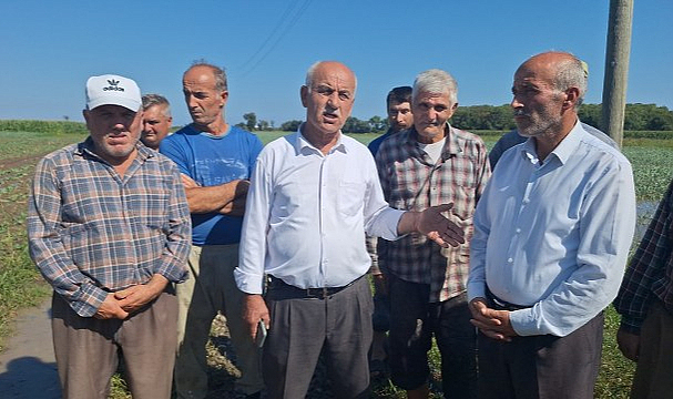 Bafra Ovası'nda tarım arazileri zarar gördü