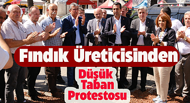 CHP 101. yılı kutlamalarında fındık üreticileri ürünlerini sokağa döktü