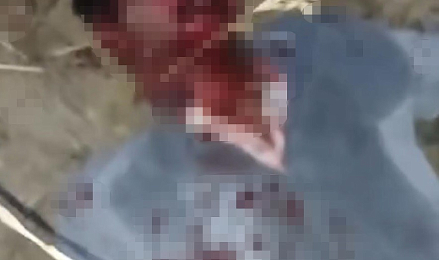 Çocuğu taciz etmeye çalışan şahsı hastanelik ettiler