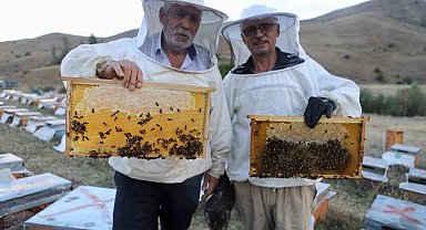 Emekli polis memuru ve abisi 7 ton bal üretti