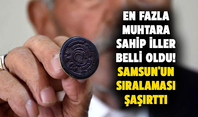 En fazla muhtara sahip iller belli oldu! Samsun'un sıralaması şaşırttı