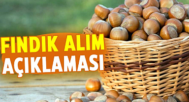 Fındık alım işlemlerinde önemli rakamlara ulaşıldı