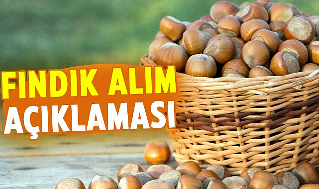 Fındık alım işlemlerinde önemli rakamlara ulaşıldı