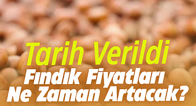 Fındık fiyatları 145 TL'ye kadar çıkabilir