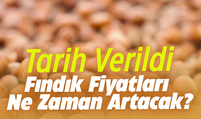Fındık fiyatları 145 TL'ye kadar çıkabilir