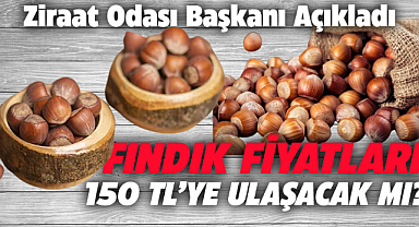 Fındık fiyatları 150 TL'ye ulaşacak mı?