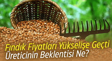 Fındık fiyatları yükselişte! Peki üretici ne istiyor?
