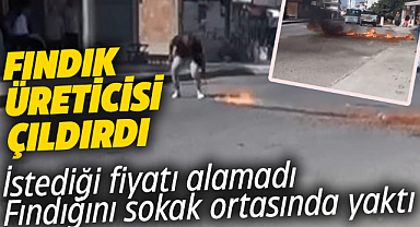 Fındıkta isteği fiyatı alamayan üretici fındığını yaktı