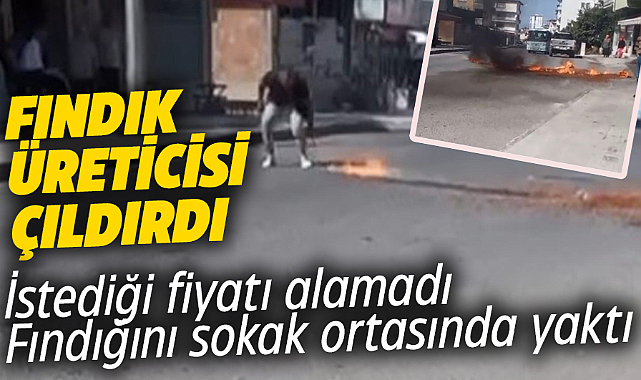 Fındıkta isteği fiyatı alamayan üretici fındığını yaktı
