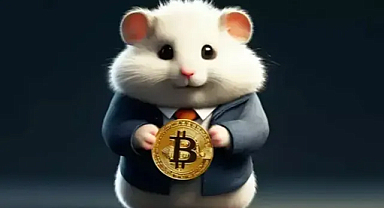 Hamster Kombat 15 Eylül şifresi! Mors alfabessiyle günlük Kombat şifresi