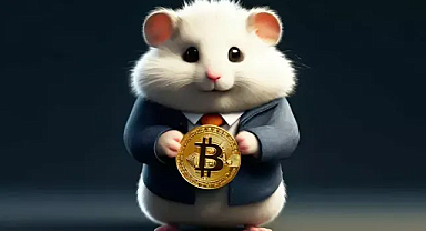 Hamster Kombat Günlü şifre, 16 Eylül Hamster Kombat şifresi! Günlük Kombat şifresi nasıl yapılır?