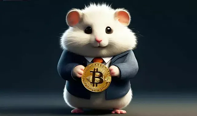 Hamster Kombat Günlü şifre, 16 Eylül Hamster Kombat şifresi! Günlük Kombat şifresi nasıl yapılır?