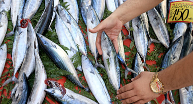 Hangi balık hangi ayda tüketilmeli?