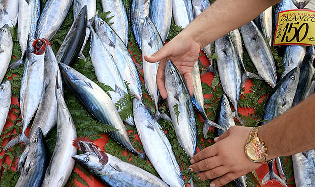 Hangi balık hangi ayda tüketilmeli?