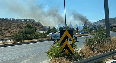 Milas'ta orman yangını