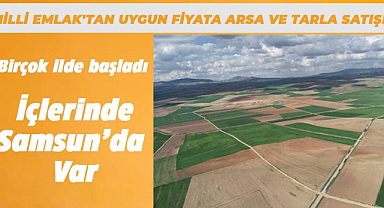 Milli Emlak'tan 14 bin TL'ye arsa ve 17 bin TL'ye tarla! Samsun'da da satış var