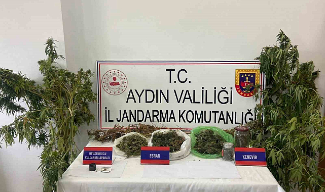 Mısır tarlasına uyuşturucu ekti, jandarmadan kaçamadı