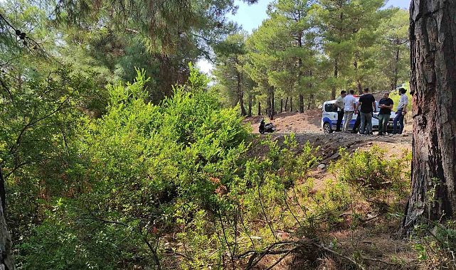Ormana bırakılan bebekle ilgili 2 şüpheli tutuklandı