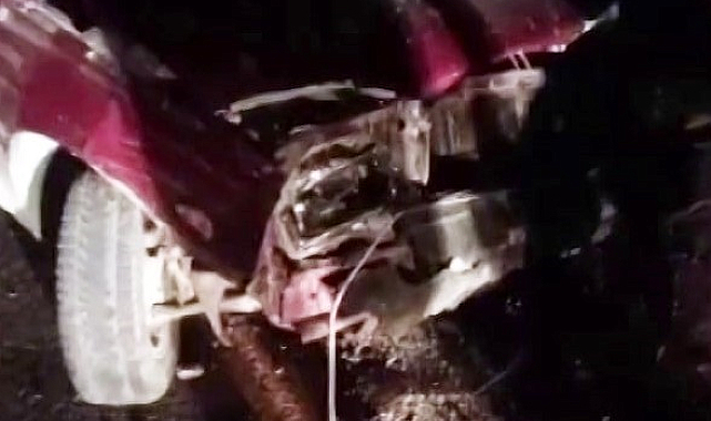 Otomobil koyun sürüsüne daldı: Sürücü yaralandı, 11 koyun telef oldu