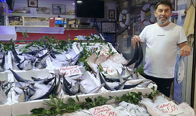 Palamut Gürcistan'a kaçtı