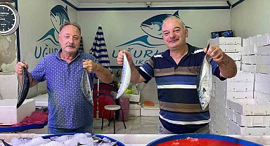 Palamutun tezgahlardaki krallığı sürüyor