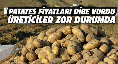 Patates fiyatları düşüşe geçti