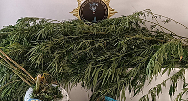 Samsun Çarşamba'da bir İkamette bin 248 gram esrar bulundu