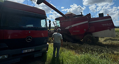 Samsun Çarşamba'da tarımda saha kontrolleri sürüyor