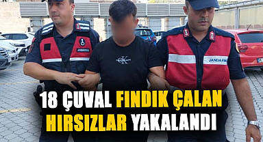 Samsun'da 18 çuval fındık çalan hırsızlar yakalandı