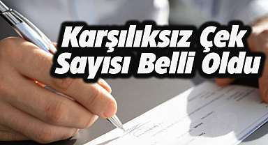 Samsun'da Ağustos ayında 255 çek karşılıksız çıktı