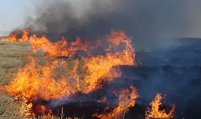 Samsun'da anız yangını trafiği olumsuz etkiledi