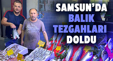 Samsun'da balık tezgahları doldu